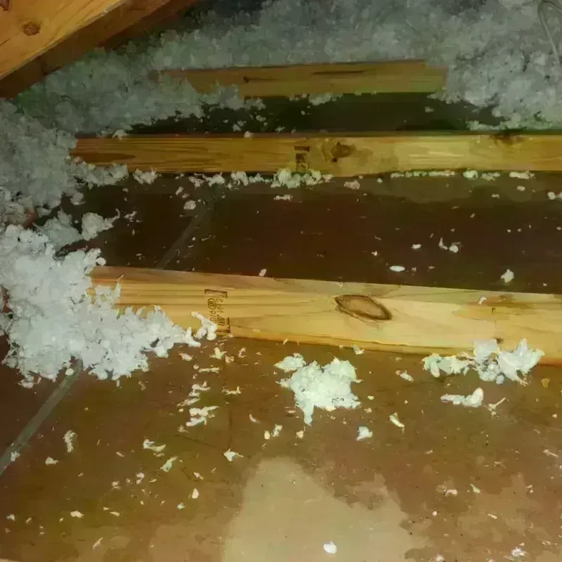 Attic Water Damage in Willimantic, CT